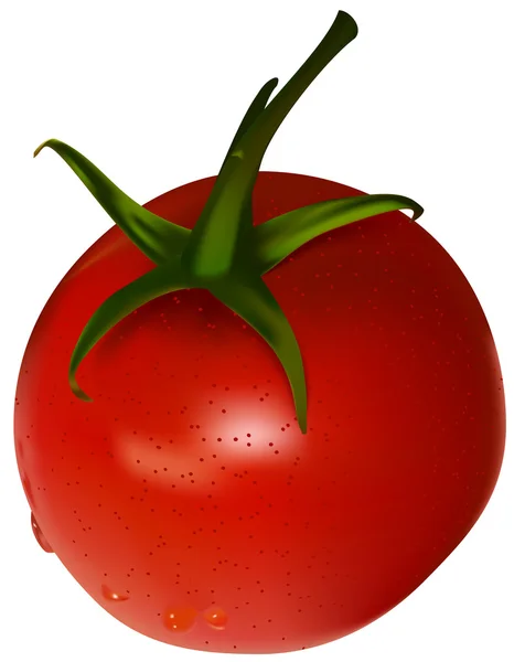 Un tomate cherry — Vector de stock