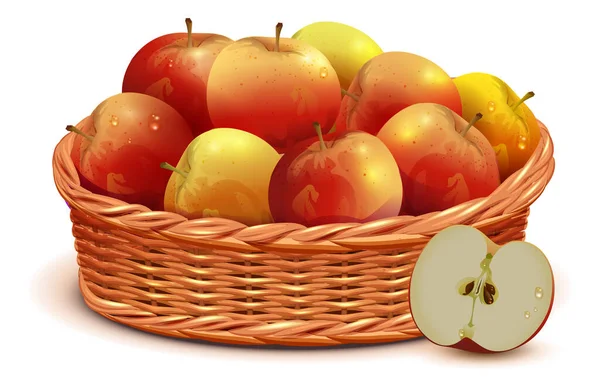 Полная плетеная корзина красных яблок праздник сбора урожая День благодарения символ — стоковый вектор