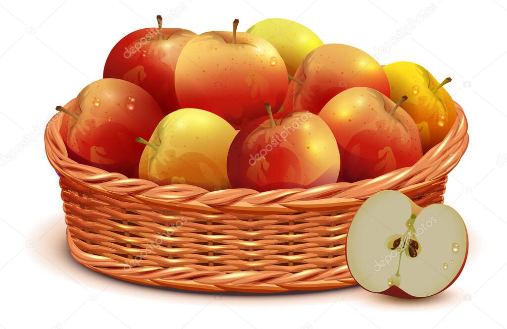 Full wicker basket of red apples harvest festival thanksgiving day symbol