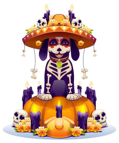 Skeleton dog and pumpkin lantern symbol holiday day of dead in mexico. Dia de Muertos mexican halloween — Stock Vector