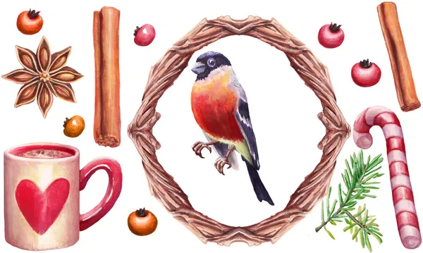 Kerst aquarel illustratie set van bullfinch, koffie, kaneel, lolly en kerst groene dennenboom tak dennen — Stockfoto