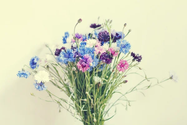 Verão flores coloridas — Fotografia de Stock