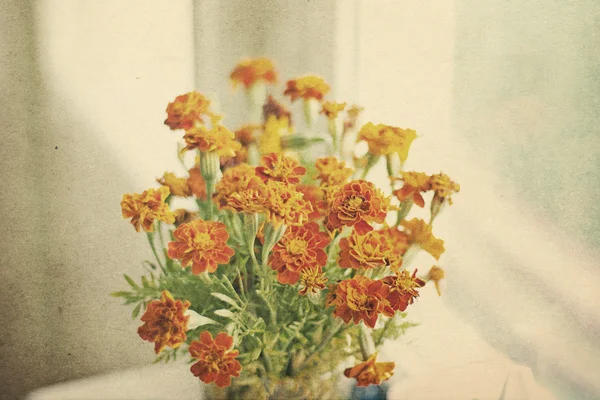 Πολύχρωμο καλοκαίρι λουλούδι — Φωτογραφία Αρχείου
