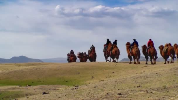 Caravana Camel . — Videoclip de stoc