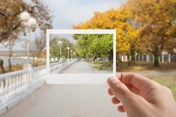 Segurando foto instantânea . — Fotografia de Stock