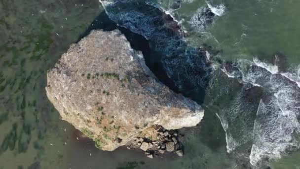Αεροφωτογραφία Των Θαλασσών Φωλιάζοντας Ένα Μικρό Νησί Στον Κόλπο Της — Αρχείο Βίντεο