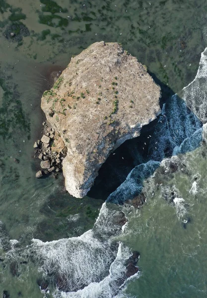 Pequena Ilha Com Aves Marinhas Baía Tikhaya Sakhalin Island Rússia — Fotografia de Stock