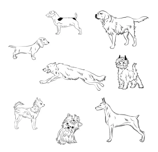 Czarno-białe psy Ilustracje Stockowe bez tantiem