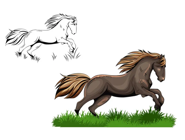 Бегущая лошадь — стоковый вектор