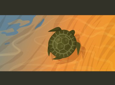 seaturtle