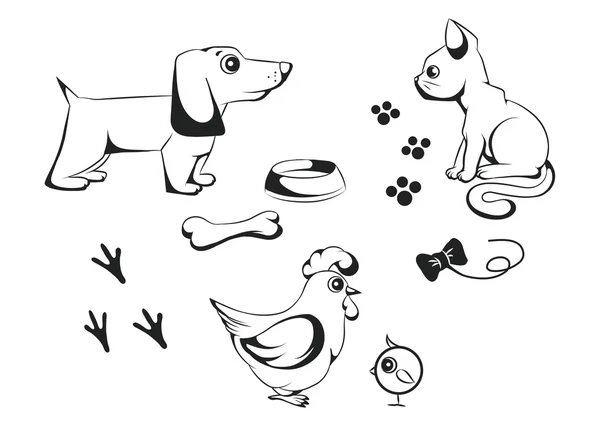 Imágenes: animales domesticos blanco y negro | Colección Blanco Negro