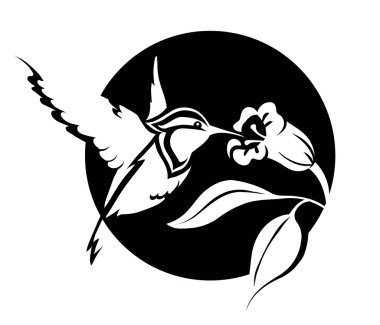 Kolibri