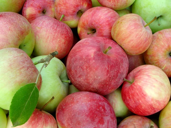 Organic apples — Stock Photo, Image