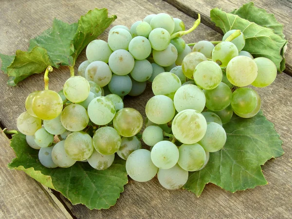 Clusters de uvas brancas com folhas — Fotografia de Stock