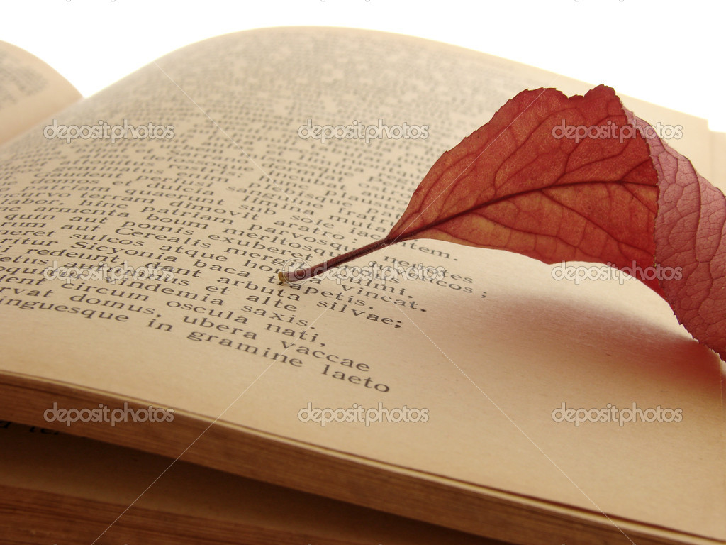 autumnal reading