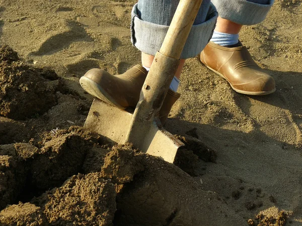 Digging in a garden — Stock Photo, Image