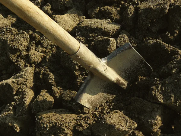 Shovel in the ground — Stock Photo, Image