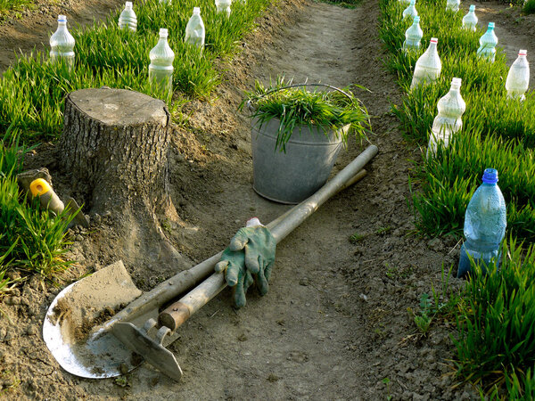 Органическое земледелие
