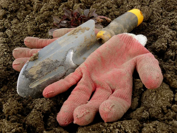 Gartenarbeit — Stockfoto