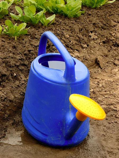 Watering can — Stock Photo, Image