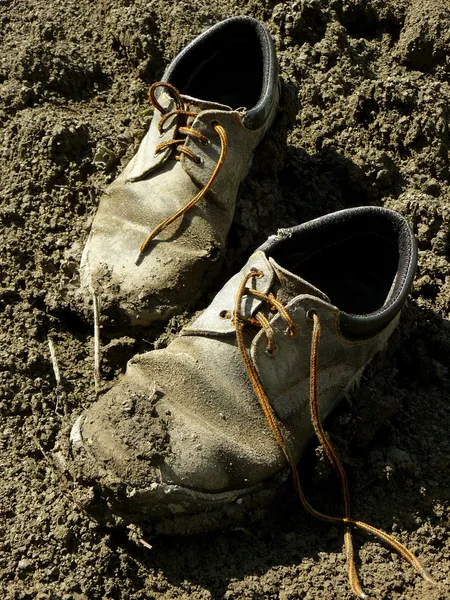 Old shoes Stock Image