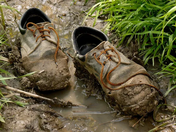 Old shoes Stock Picture