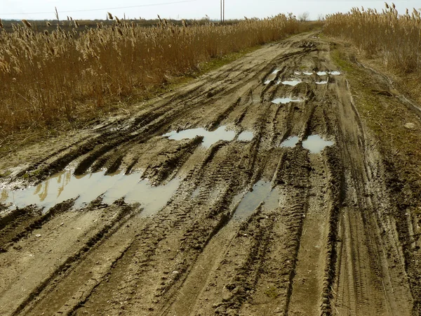 Dirty rural road — Stock Photo, Image