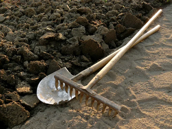 Rake en spade — Stockfoto