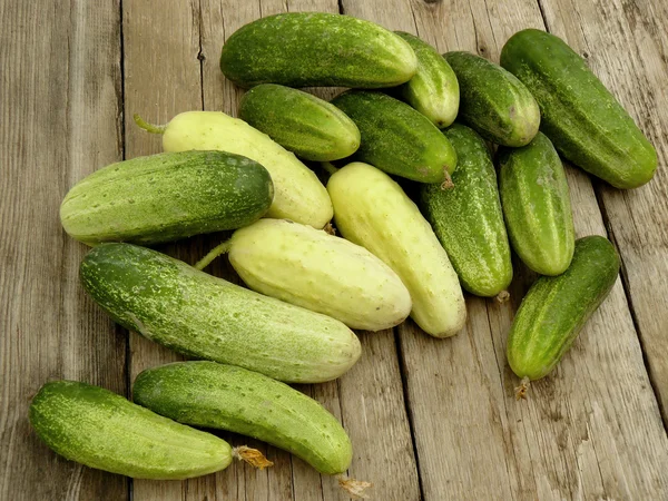 Cucumbers — Stock Photo, Image