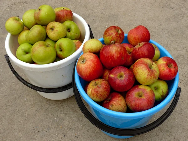 สองถังเต็มไปด้วยแอปเปิ้ล — ภาพถ่ายสต็อก