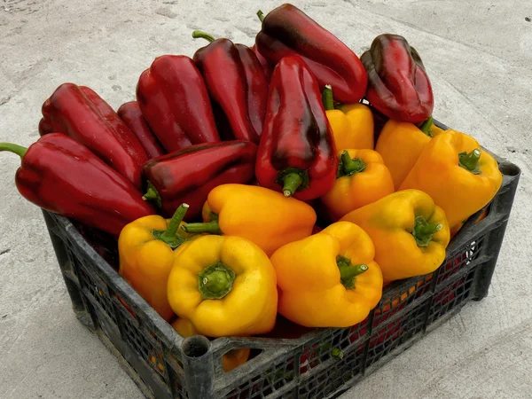 Pimentos vermelhos e amarelos — Fotografia de Stock