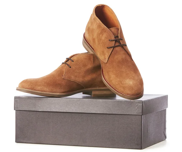 Elegante nieuwe bruine schoenen — Stockfoto