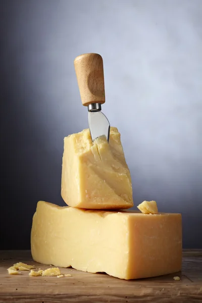 Fromage parmesan — Photo