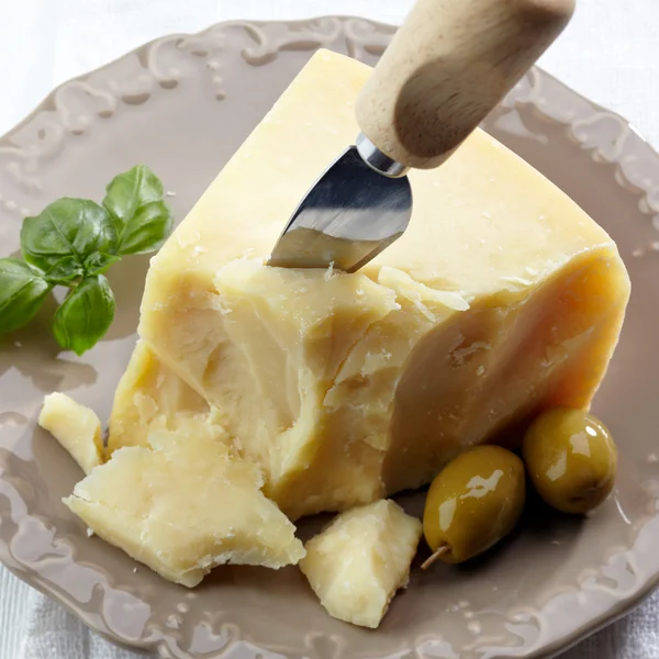 Fromage parmesan — Photo