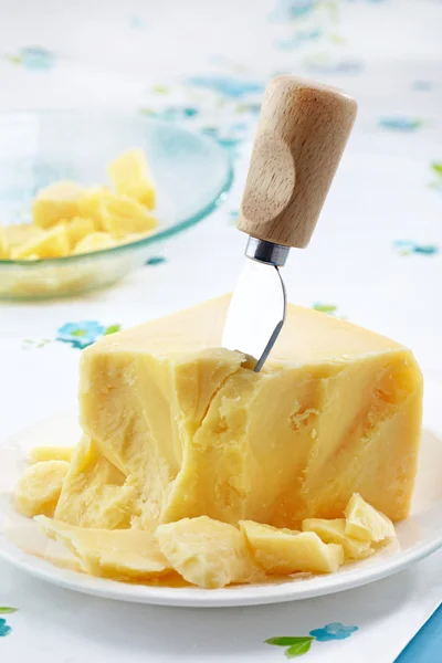 Fromage parmesan — Photo