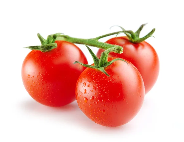 Frische Tomaten — Stockfoto