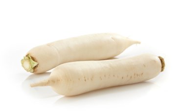 White radish root
