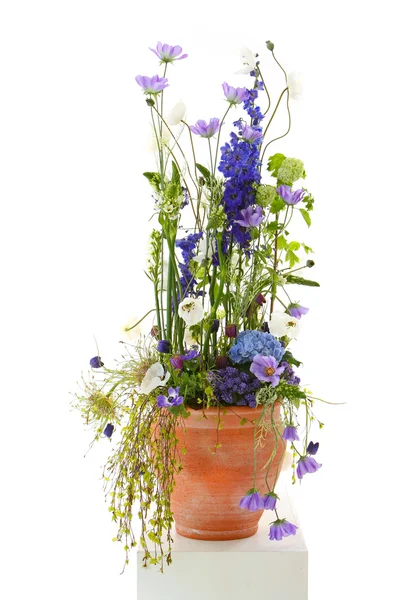 Mooie samenstelling van bloemen — Stockfoto