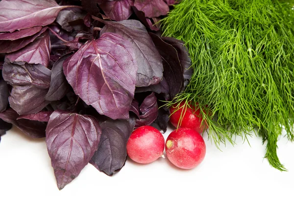 Albahaca, rodilleras y rábano rojo sobre fondo blanco — Foto de Stock