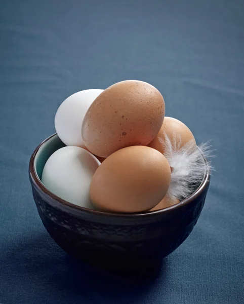 Kahverengi ve beyaz yumurta — Stok fotoğraf