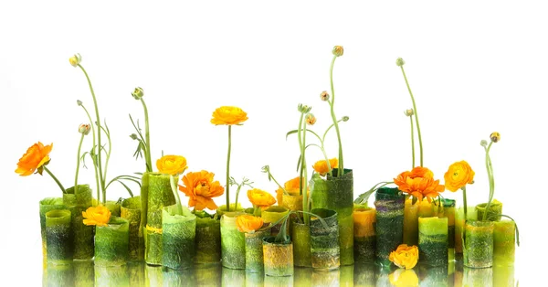 Composición de las flores — Foto de Stock