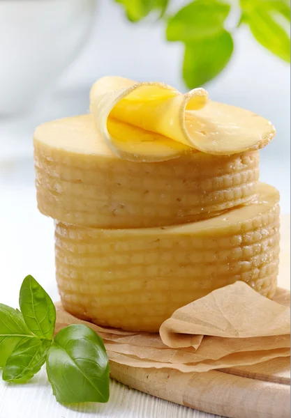 Cheese closeup — Stock Photo, Image