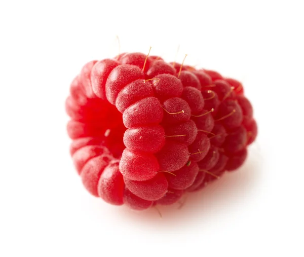 Fresh red raspberry — Stock Photo, Image