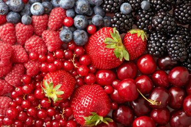 various berries background clipart