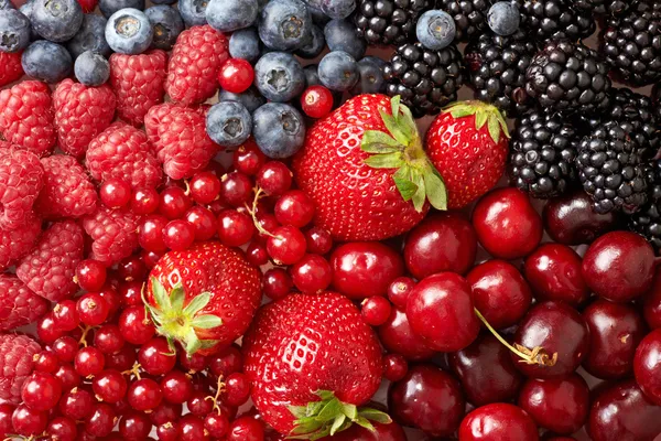 Various berries background — Stock Photo, Image