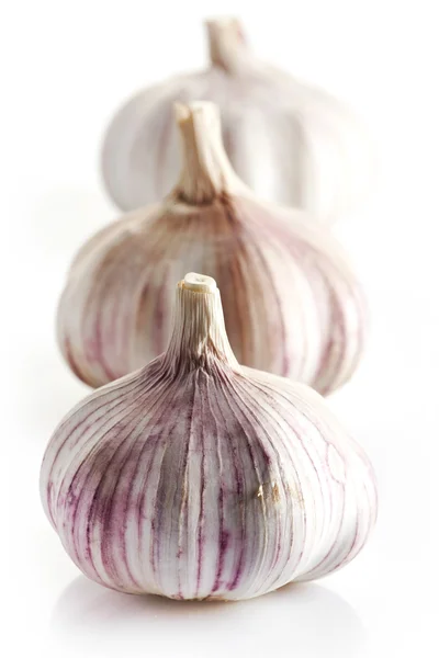 Knoblauch auf weißem Hintergrund — Stockfoto