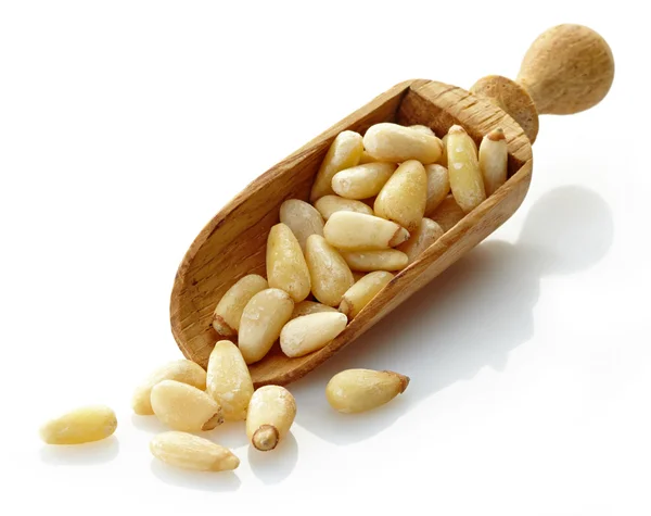 Wooden scoop with pine nuts — Stock Photo, Image