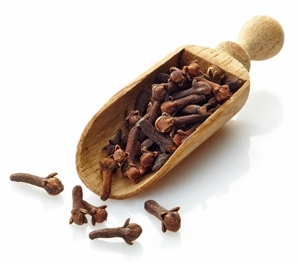 Wooden scoop with cloves — Stock Photo, Image
