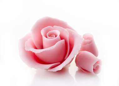 Dekoratif şeker pembe Gül