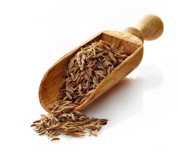 Wooden scoop with cumin — Stock Photo, Image